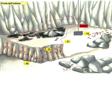 3.6 punta dell&#39;indiano
