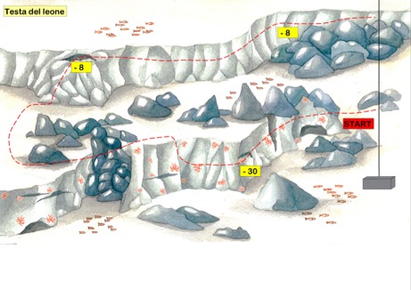 3.13 testa del leone