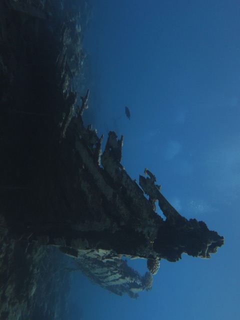 Loading Image