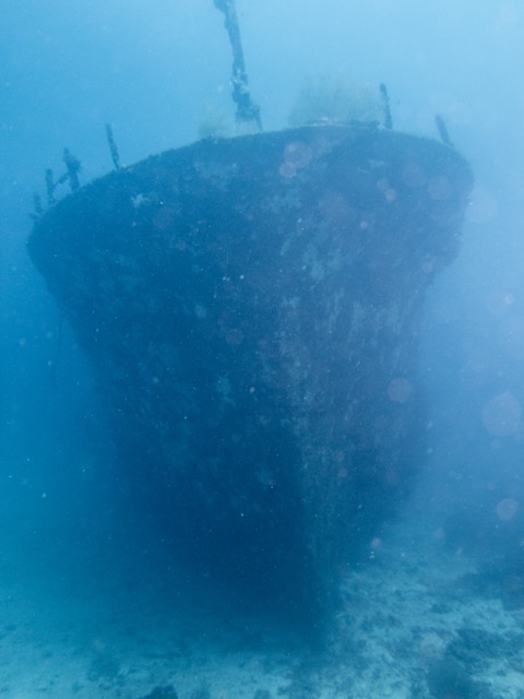 Loading Image